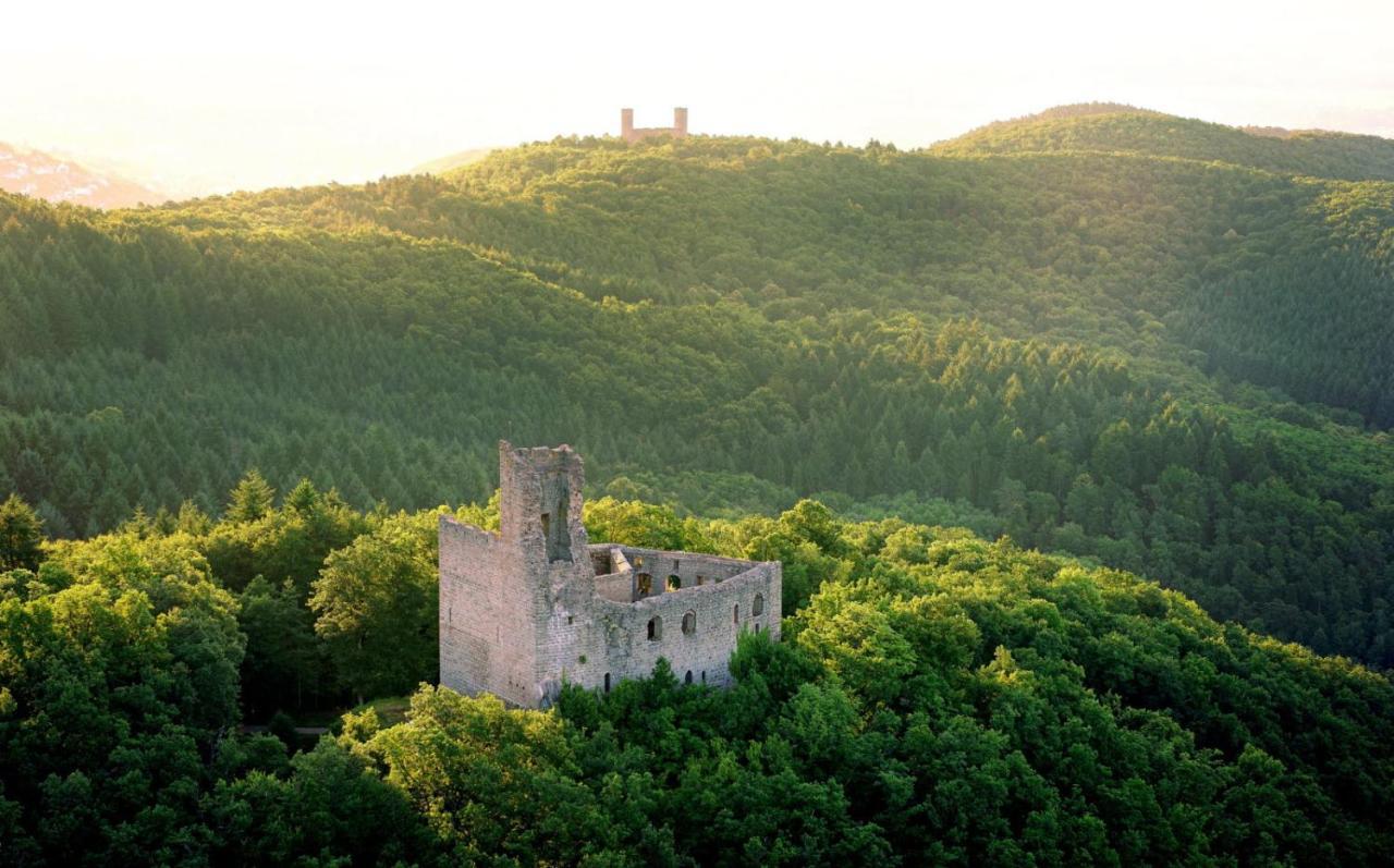 La Curiosite - Appartement 2 Chambres A Barr, Route Des Vins D'Alsace 外观 照片
